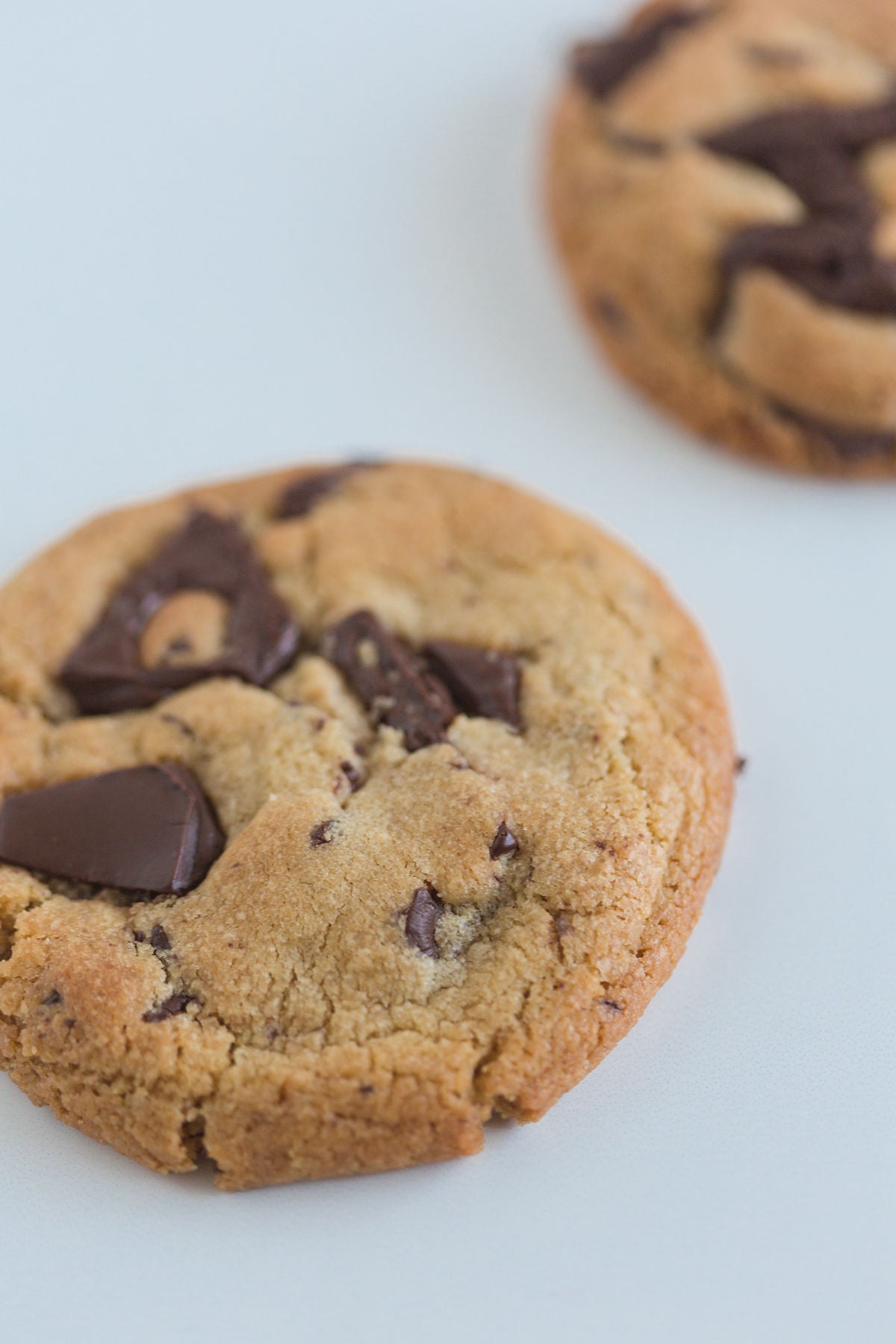 A chocolate chip cookie with visible chunks of chocolate.